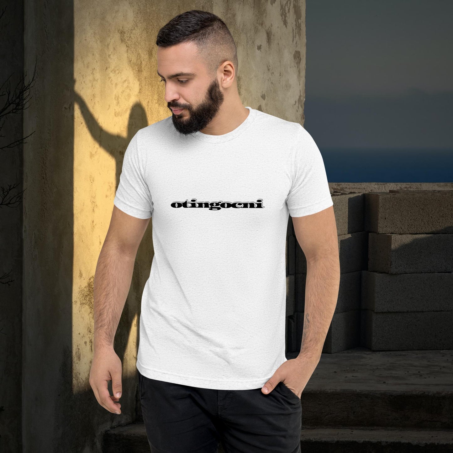 "INCOGNITO" Unisex Tri-Blend T-shirt